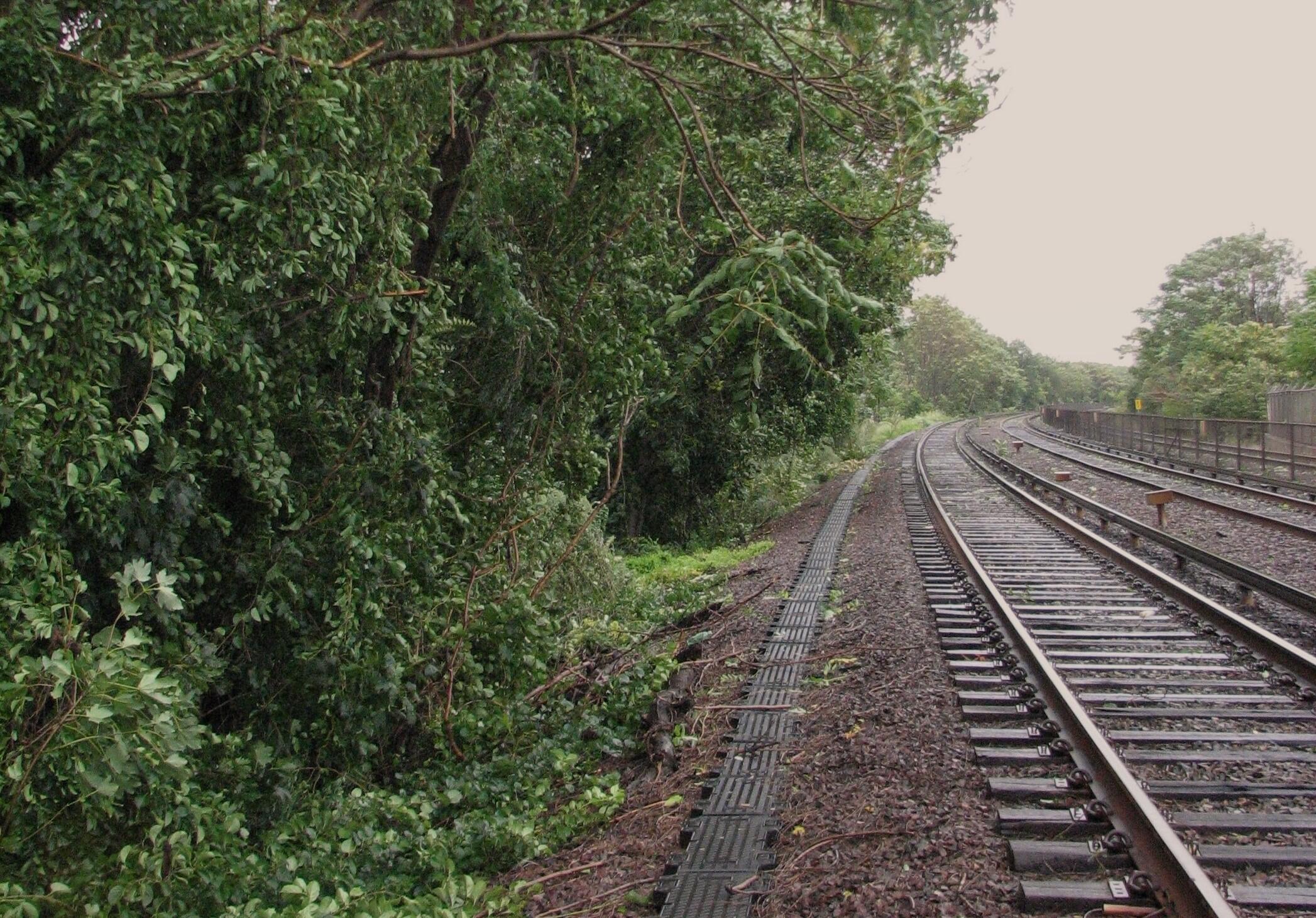 Overgrown vegetation near the ROW can block visibility.